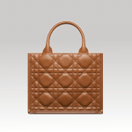 Christian Dior Book Tote Small Bag Brown - Image 4