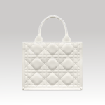 Christian Dior Book Tote Small Bag White - Image 5