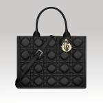 Christian Dior Book Tote Medium Black